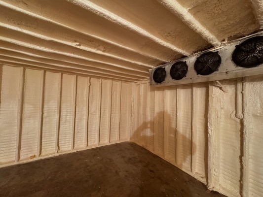 3517458360749583607 55576946838