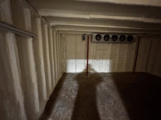 3517458360749583607 55576946838